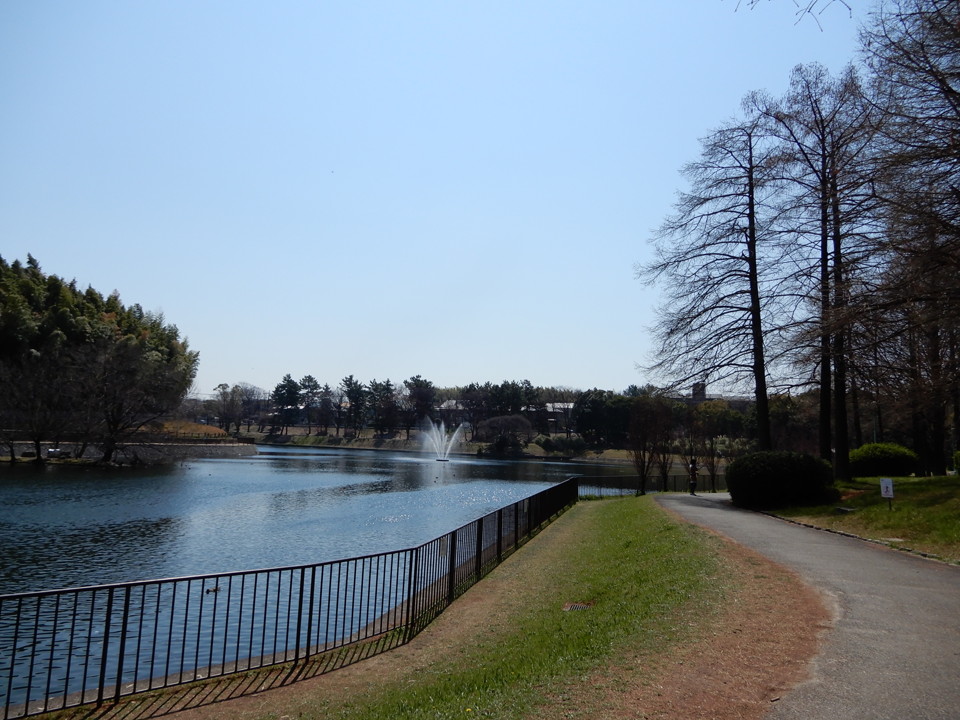 桃山公園<br />
徒歩10分(800m)