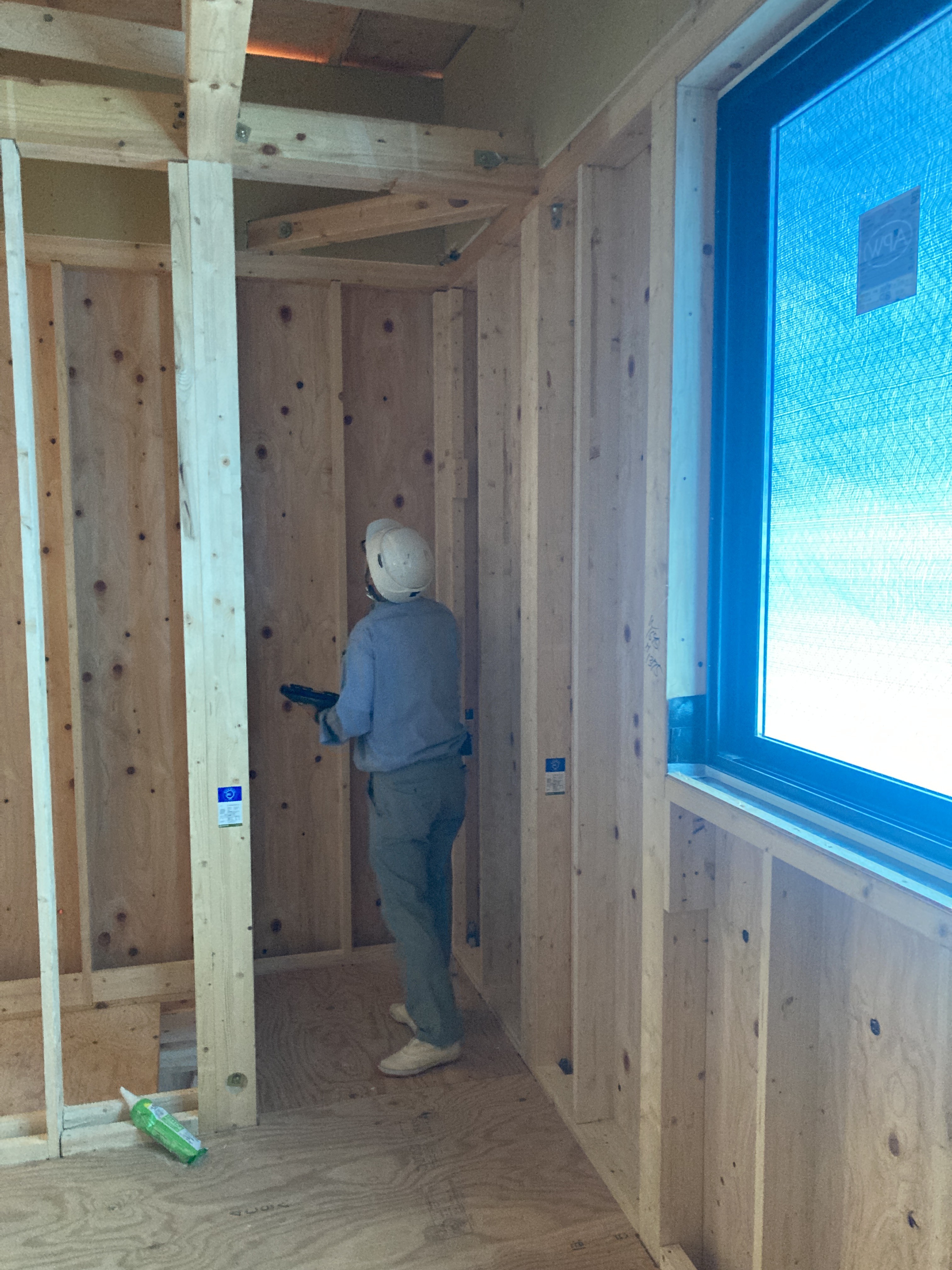 構造体画像(モーダル)