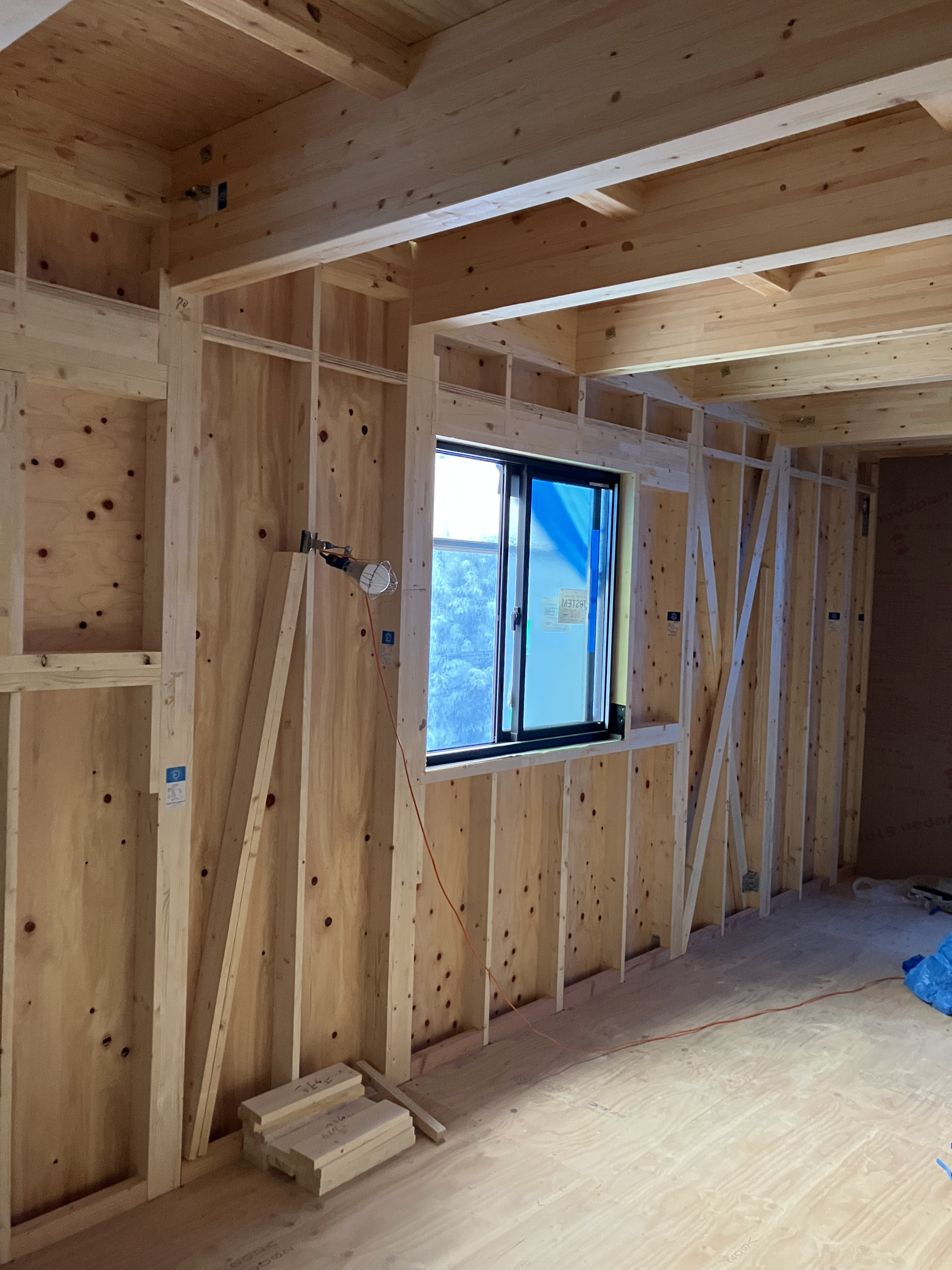 構造体画像(モーダル)