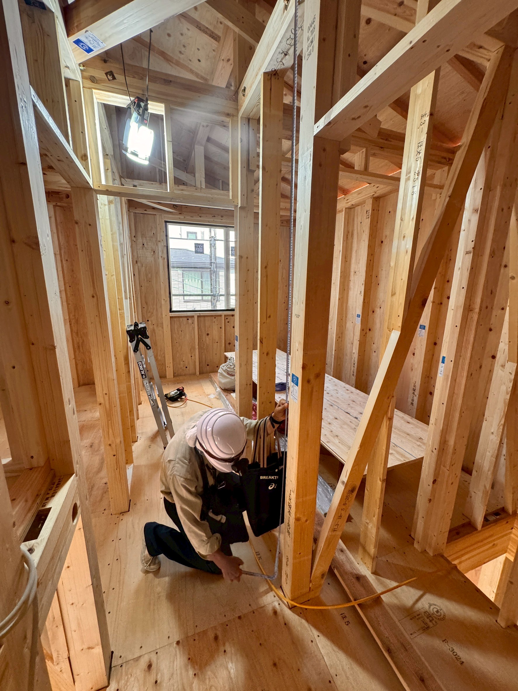 構造体画像(モーダル)