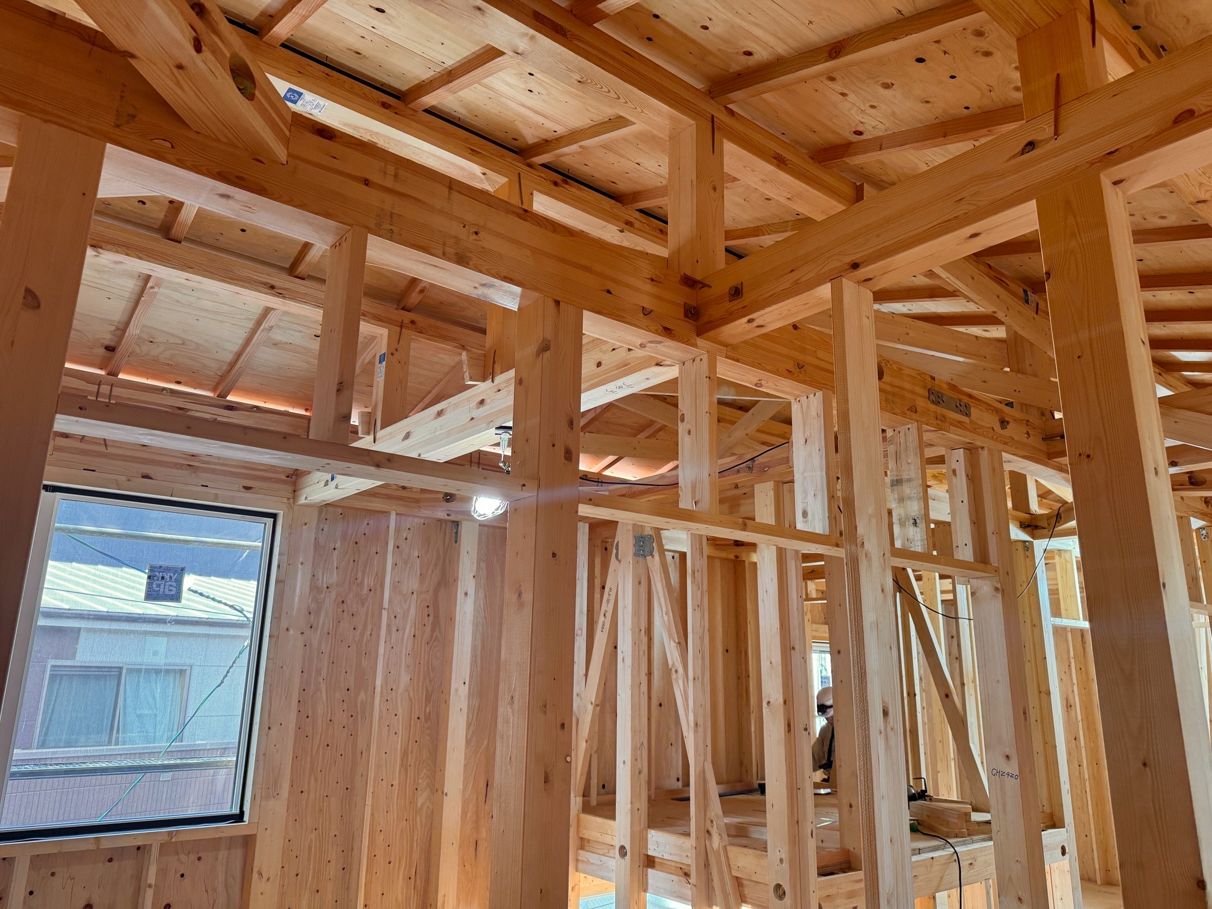 構造体画像(モーダル)