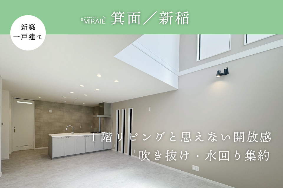 新着-新稲.jpg