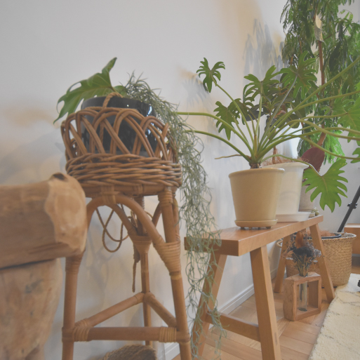 観葉植物で心地良い暮らしを作ろう！