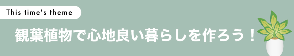 100-top.jpg