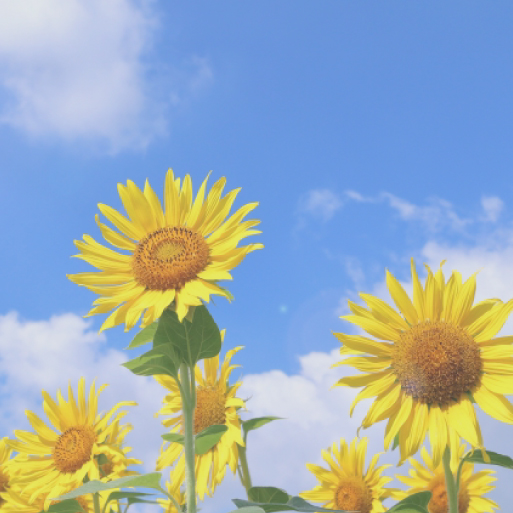 夏休みだからこそ！家族で