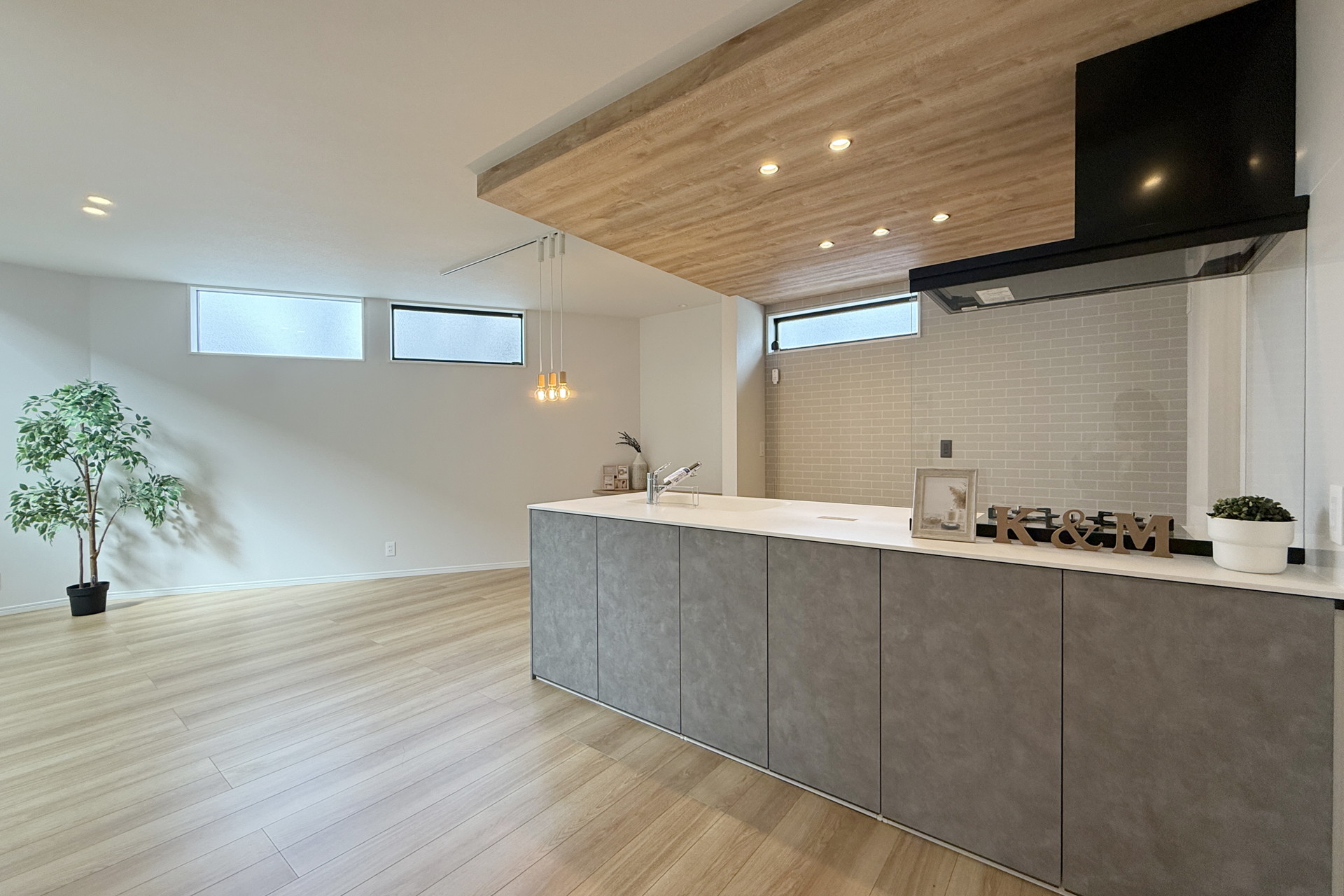 eMIRAIE 阪急池田／五月山公園IV A号地 写真